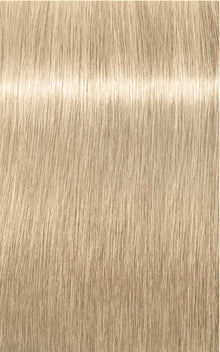 12-1 Special Blonde Cendre