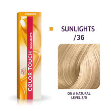 /36 Gold Violet