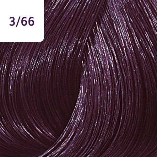 3/66 Dark Intensive Violet Brown