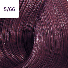 5/66 Light Intensive Violet Brown