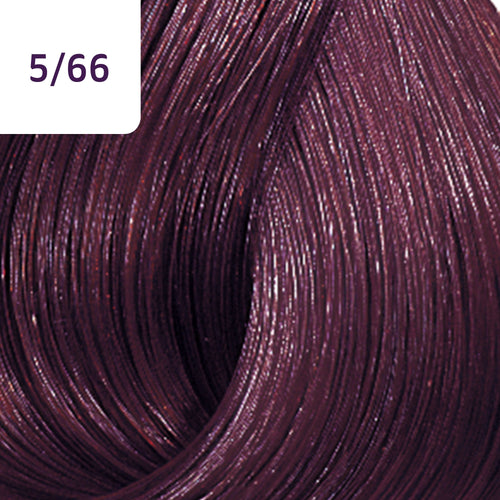 5/66 Light Intensive Violet Brown