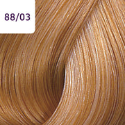 Color Touch Plus 60ml