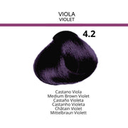 Fruity Hair Color 100ml