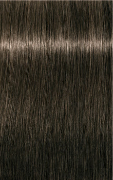 6-1 Dark Blonde Cendre