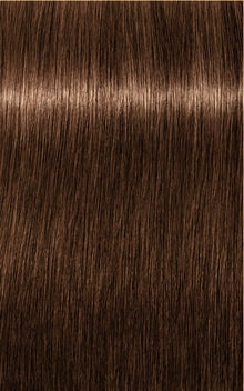 6-65 Dark Blonde Chocolate Gold