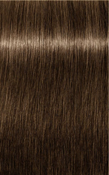 6.83 Dark Brown Chocolate Gold