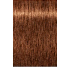 7-76 Medium Blonde Copper Chocolate