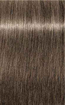 8-1 Light Blonde Cendre