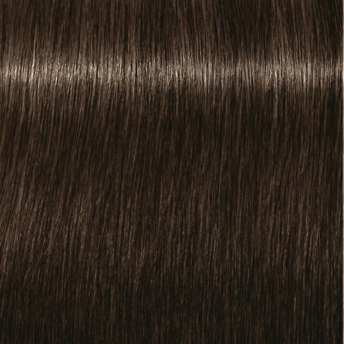 Deep Chestnut