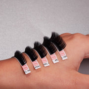 Marvelash B Curl Lashes Assorted 2 Sizes
