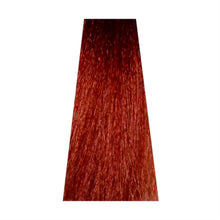 6/6 Dark Copper Blond