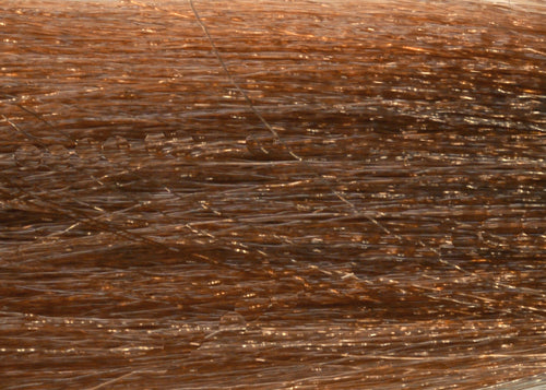 8/34 Light Golden Mahogany Blonde