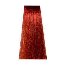 6/6 Dark Copper Blonde