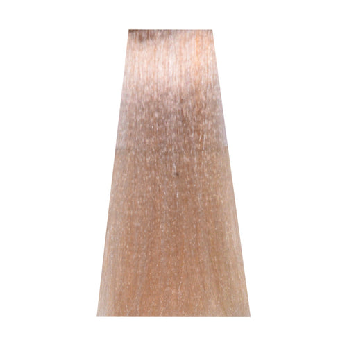 11/02 Extra Lightened Light Ash Blonde