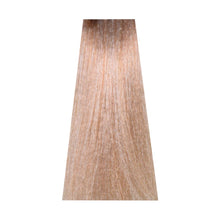 11/22 Extra Lightened Intense Ash Blonde