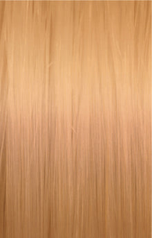 8/05 Light Natural Mahogany Blonde