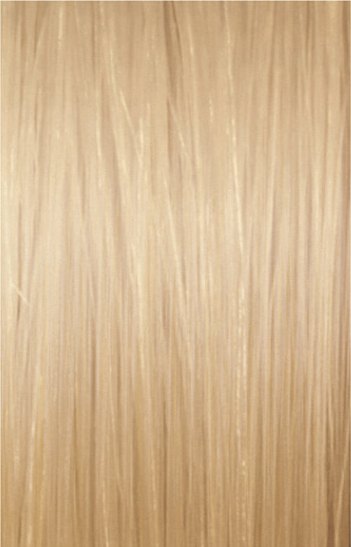 9/03 Very Light Natural Gold Blonde