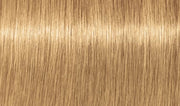 Blonde Expert Highlift 60ml