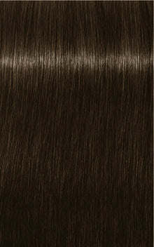 6-16 Dark Blonde Cendré Chocolate