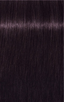 3-19 Dark Brown Cendré Violet