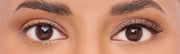 Strip Lash Volume 101 Twin Pack