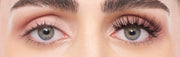 Strip Lash 109 Black