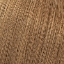 9/17 Very Light Ash Brunette Blonde