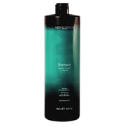 Dry Hair Shampoo