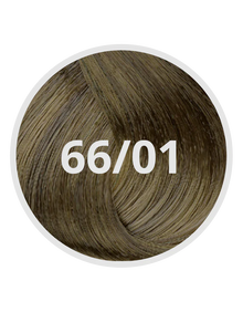 66/01 Deep Cool Dark Blond