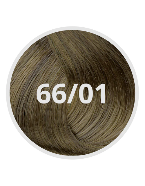 66/01 Deep Cool Dark Blond