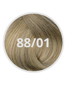 88/01 Deep Cool Light Blond