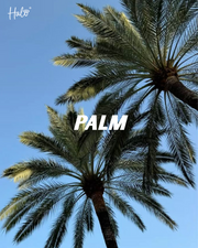 Halo Gel Polish Palm 8ml