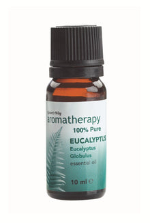 Eucalyptus