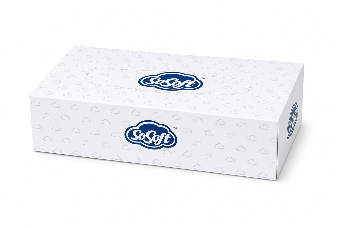 Tissues - 100 Sheets