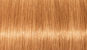 Blonde Expert Pastel 60ml