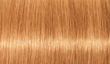 P.14 Ash Copper