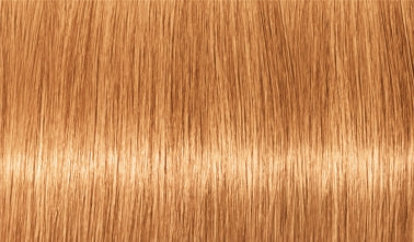 P.14 Ash Copper